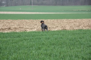 2014-03-18 12.11.22-1