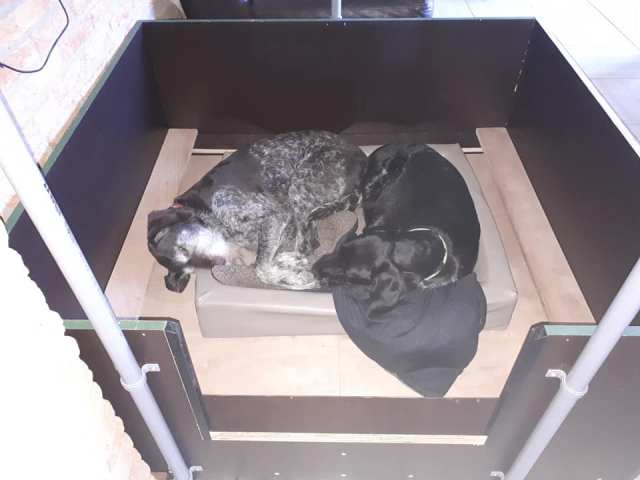 bente en andes voorbereiding